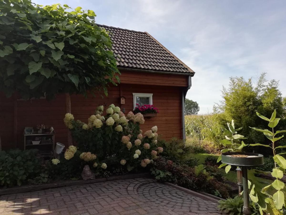Woodstock B+B Villa Drouwenermond Ngoại thất bức ảnh