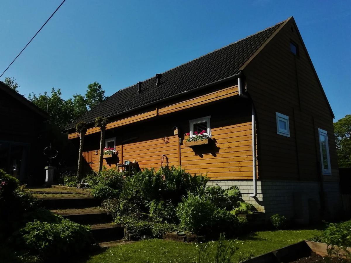 Woodstock B+B Villa Drouwenermond Ngoại thất bức ảnh